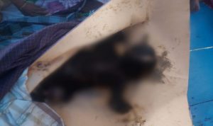 Kebakaran di Bontobahari Bulukumba, Satu Bocah Tewas Terpanggang