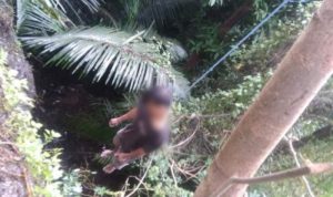Diduga Putus Asa, Pemuda Dusun Paojawae  Bulukumba Ditemukan Gantung diri