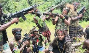 fakta baru kasus kebrutalan kkb papua