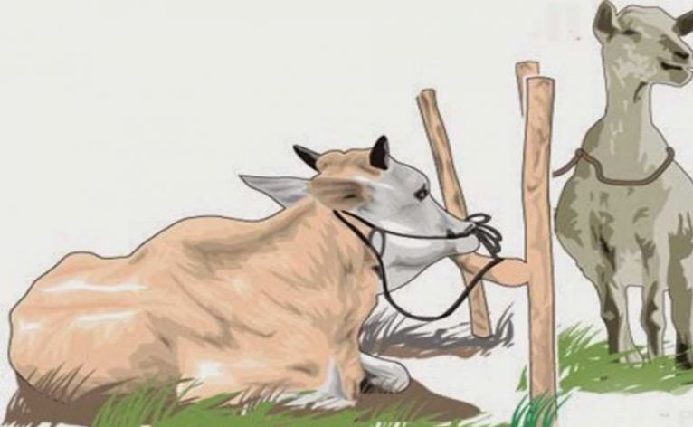 IMG 20210719 142830 2