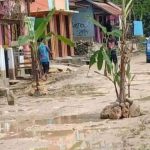 Tak Kunjung Diperbaiki, Warga Kajang Bulukumba Tanam Pohon Pisang di Jalan 