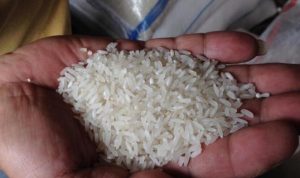 ilustrasi beras asli e 20150523 094251