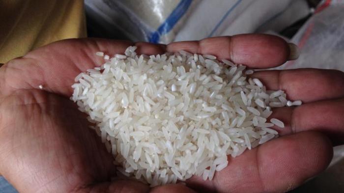 ilustrasi beras asli e 20150523 094251