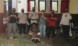 Gerebek Judi Sabung Ayam di Tibona , Polisi Amankan Satu Pelaku dan 12 Sepeda Motor