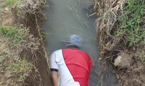 Breaking News : Warga Tanah Harapan Bulukumba di Temukan Tewas di Irigasi Sawah 