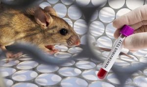 38805793 77eb 4599 ac2e 951bd3ea3861 169