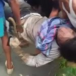 Menjolok Kelapa Dikebun, Warga Tamatto Ujung Loe Tersengat Listrik, Tangan Rencana Diamputasi 