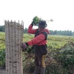 Harga Jual Kacang Tanah di Bulukumba Tembus Rp600 Ribu 