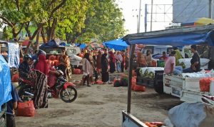 IMG 20211224 53691