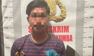 Tersinggung, Motif Pembusuran Pemuda Ela-ela 