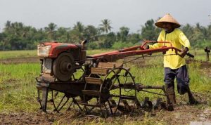 90cd7d120f880596ce26d8db7284a786