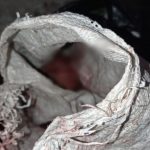 Bayi yang Ditemukan Warga Bolacippe Bulukumba Dalam Karung Meninggal Dunia 