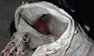 IMG 20220309 44283 1