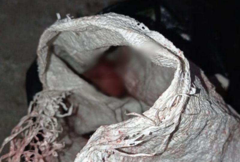 IMG 20220309 44283 1