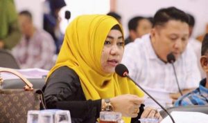 Diincar Banyak Partai, Hj Hilmiaty Asip Puji PAN Bulukumba