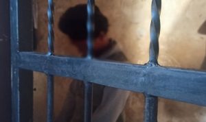 Pemeran Video Mesum di Bulukumba Ditangkap Polisi, Pelaku: Saya Sayang dan  Takut Kehilangan 