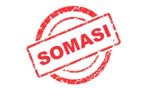2647 somasi