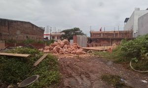 IMG 20220615 31562