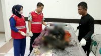 Sijago Merah Mengamuk di Bulukumba, Satu Pemilik Rumah Tewas Terbakar Api