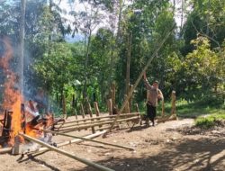 Lagi Polisi Tidak Berhasil Tangkap Pelaku Judi Sabung Ayam di Bulukumba , Lokasinya di Kindang  