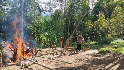 Lagi Polisi Tidak Berhasil Tangkap Pelaku Judi Sabung Ayam di Bulukumba , Lokasinya di Kindang  