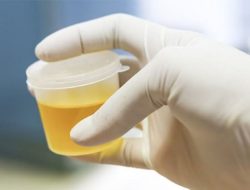 Dua Orang Oknum ASN di Bulukumba Diduga Positif Narkoba, Satu Dari Sekertariat Daerah 