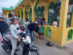 Breaking News: Mayat Bayi Baru Lahir Terbungkus Dalam Plastik Ditemukan Warga Paenrelompoe Bulukumba