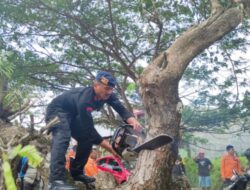 Brimob Bone Evakuasi Pohon Tumbang 