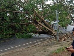 Hujan Angin di Bulukumba Porak-porandakan Rumah Warga