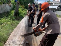 Warga Cokroaminoto Apresiasi Kesigapan Brimob Bone Evakuasi Pohon Besar 