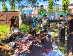 Idul adha 1444 H, Batalyon C Pelopor Kurban Sembilan Ekor Sapi