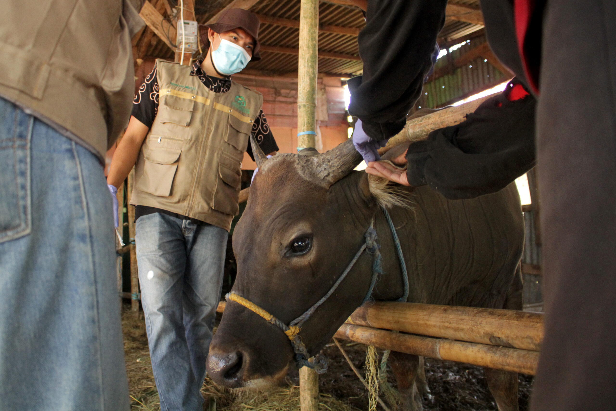 ilustrasi dalam beribadah kurban seorang muslim diperintahkan untuk ikhlas 210717194845 253 scaled