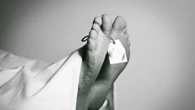 1689408437 64b253b56fc16 7ngPdR9yqj3n0YP2H0JA