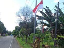 Desa Tanah Harapan Kibarkan Ratusan Bendara Merah Putih di Jalan