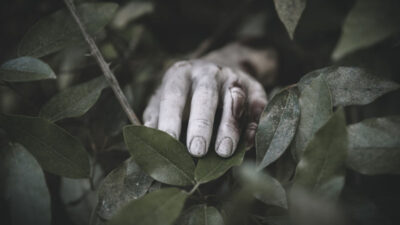 Seorang Pria di Takalar Ditemukan Tewas dengan Usus Terburai, Diduga Korban Pembunuhan