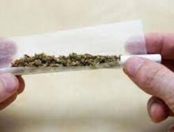 Oknum Seklur di Bulukumba Dikabarkan Ditangkap Polisi, Diduga Terlibat Kasus Narkoba