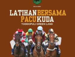 Latber Pacuan Kuda Digelar di Bulukumba , ini Kelas yang Dipertandingkan