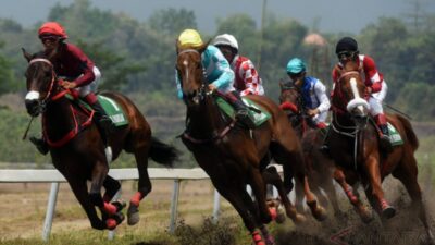 Kejuaraan Pacuan Kuda Bergensi akan Digelar di Bulukumba,  Siapkan Joki Terbaik Anda