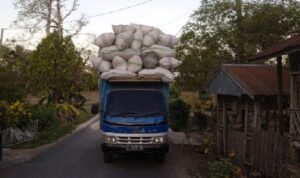 Warga keluhkan mobil pengangkut Daun Cengkeh melebihi kapasitas muatan