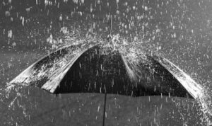 8 wilayah ini disebut bmkg berpotensi turun hujan lebat angin kencang masyarakat diminta waspada