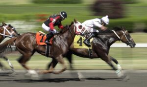 Ingat, Besok Latber Pacu Kuda Toddopuli Greenland Digelar di Bulukumba