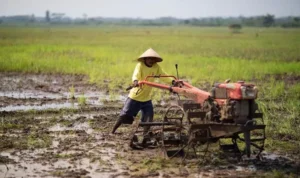 alsintan petani 5ccc4107e04b2