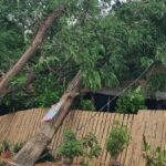Angin kencang Landa Bulukumba, sejumlah pohon raksasa tumbang 