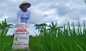 pupuk sriwijaya dok pusri 169