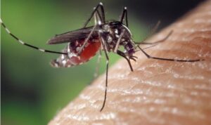 03092015990948591946262030