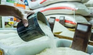 Pupuk langkah, harga beras masih tembus Rp13 ribu perliter di Bulukumba