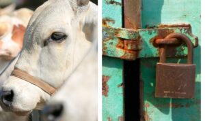 Marak aksi pencurian di Bulukumba, mulai ternak hingga rumah kosong