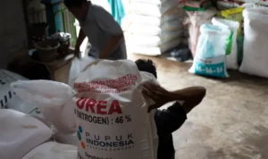 099933100 1587350975 image 12