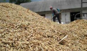 WhatsApp Image 2022 09 02 at 18 29 10