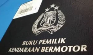 014081900 1664682107 023811800 1496124189 1